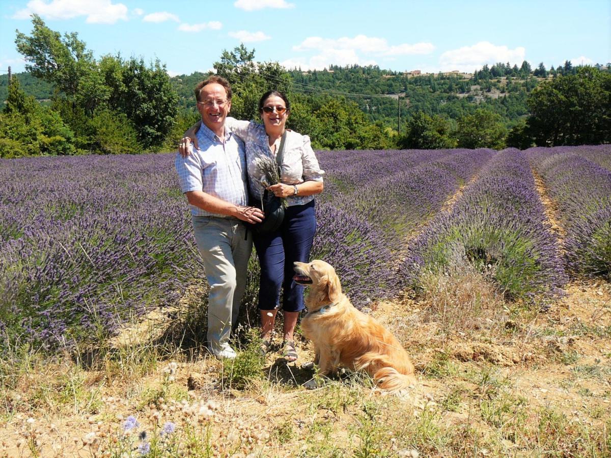 Bed and Breakfast Santolines En Provence Piolenc Exteriér fotografie