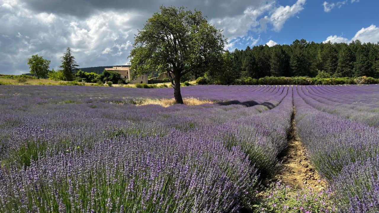 Bed and Breakfast Santolines En Provence Piolenc Exteriér fotografie