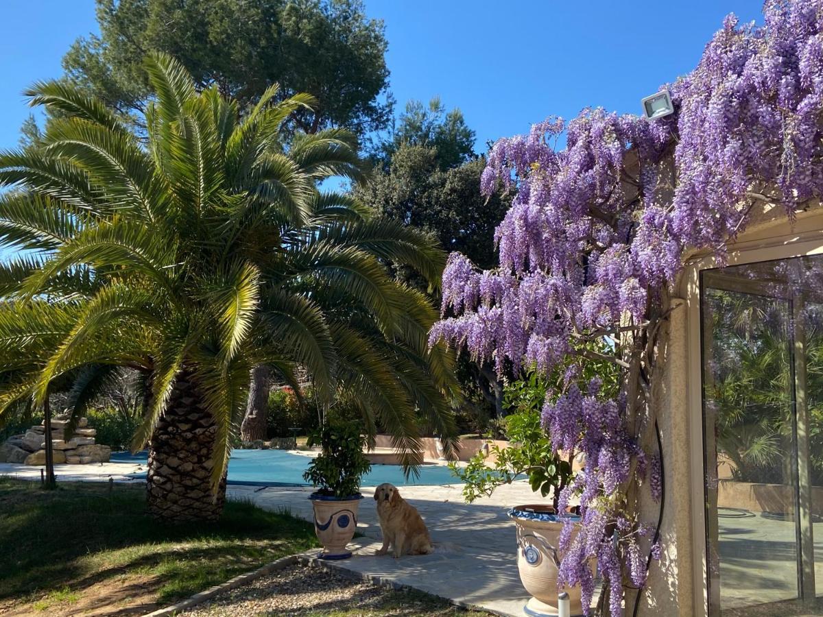 Bed and Breakfast Santolines En Provence Piolenc Exteriér fotografie